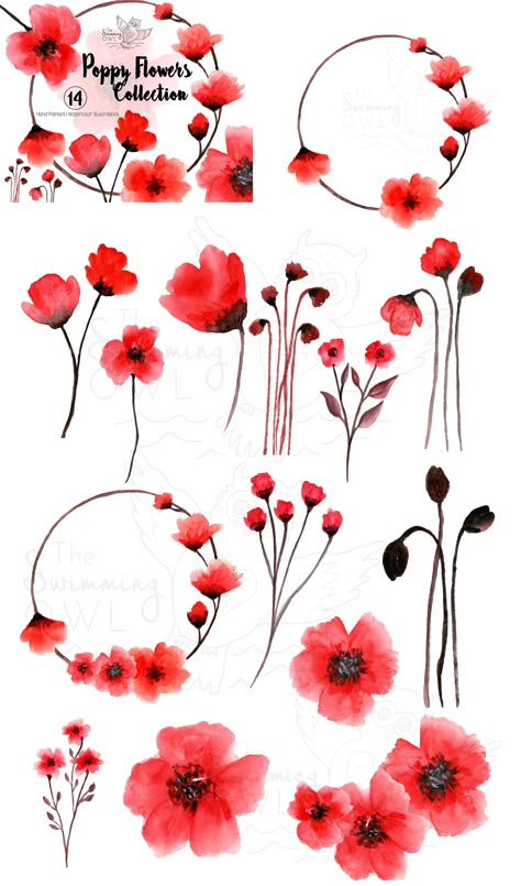 Poppy Flowers Watercolor Clipart #Vibrant#hand#printable#products Poppy Flower Drawing, Poppy Flower Art, Ftd Flowers, Poppy Flower Tattoo, Poppy Tattoo, Flower Poppy, Clipart Flowers, Poppy Drawing, Poppies Tattoo