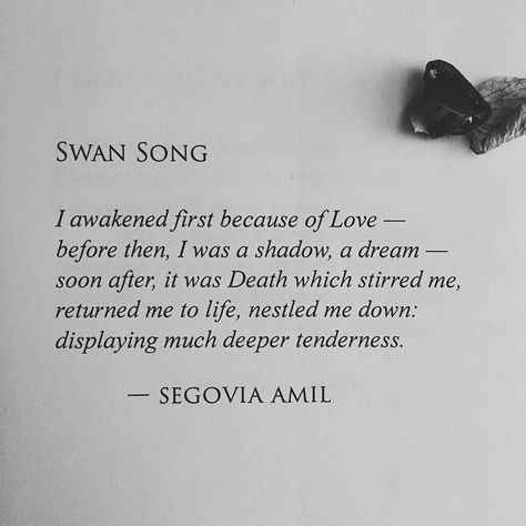 "Swan Song" written by Segovia Amil  www.segoviaamilpoetry.com Black Swan Quotes, Segovia Amil, Swan Quotes, Poetry Photos, Swan Song, Bella Swan, Black Swan, People Quotes, Meaningful Words