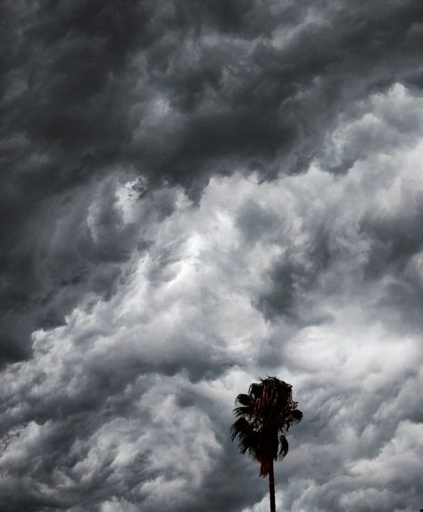 Tropical Storm Aesthetic, Storm Aesthetic, Rainy Clouds, Aesthetic Weather, Album Collage, Storm Chaser, Cloudy Weather, Chaotic Academia, Girlfriend Style