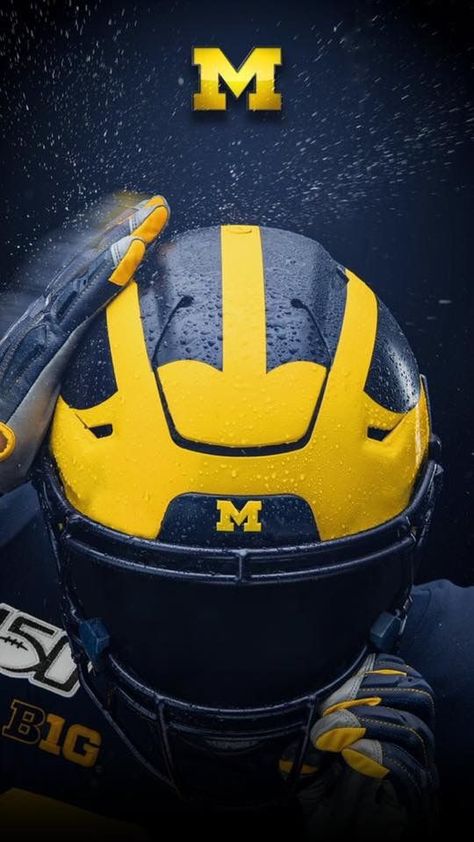 Michigan Wallpaper, University Of Michigan Logo, Torch Lake Michigan, Michigan Bucket List, Munising Michigan, Michigan Go Blue, Muskegon Michigan, Football Background, Michigan Girl