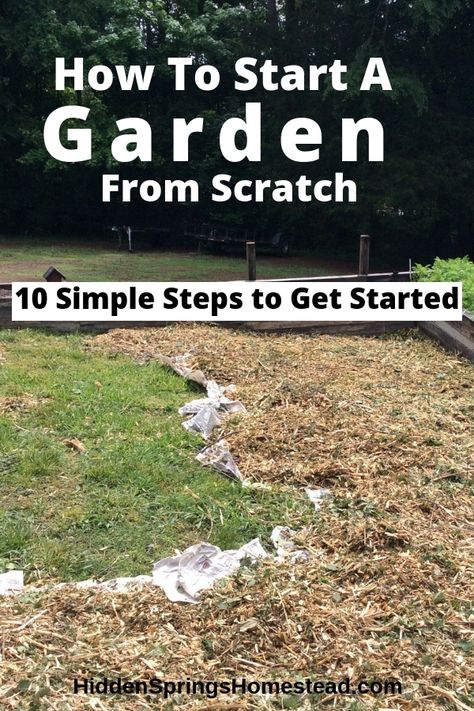 How to Start A Vegetable Garden From Scratch. Learn what to look for to build a vegetable garden on a budget. Simple steps to start a backyard garden. Start A Vegetable Garden, Garden On A Budget, Garden From Scratch, Start A Garden, Funny Vine, Vegetable Garden Planner, Starting A Vegetable Garden, Backyard Vegetable Gardens, Garden Wallpaper