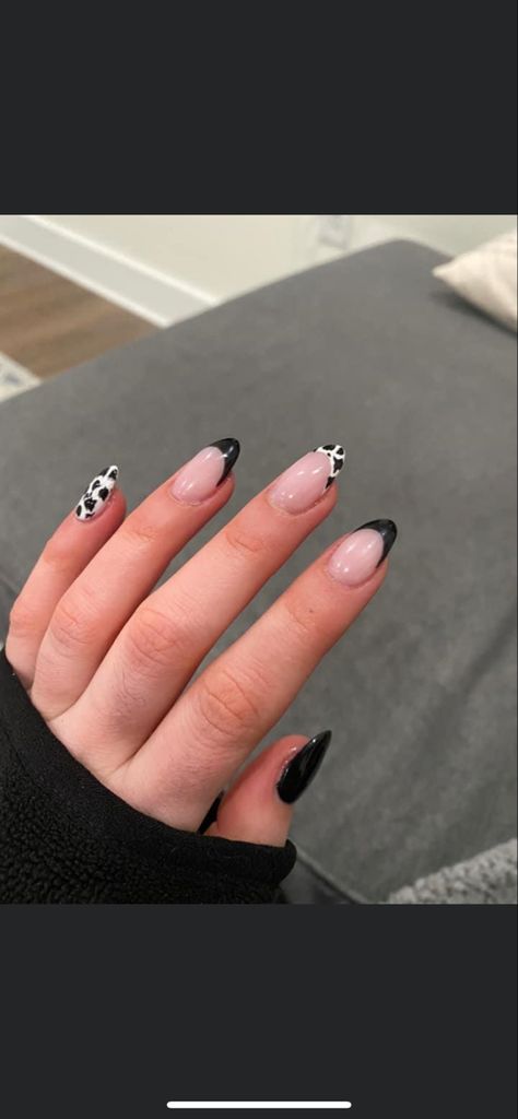 Western Acrylic Nails Oval, Cute Oval Nail Designs, Cow Nails Acrylic Almond, Almond Shape Cow Print Nails, Simple Western Nails Almond, Almond Country Nails, Oval Western Nails, Cow Nails Almond, Cow Tip Nails