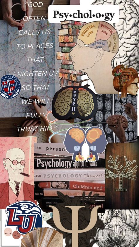 A montage of psychology Psychology Collage, Dream Psychology, Brain Models, Occipital Lobe, Psychology Studies, Frontal Lobe, Psychology Major, Psychology Student, Clinical Psychologist