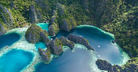 There are plenty of must-see attractions in Coron, and Twin Lagoon is one of the most popular. This great location is a lagoon made up of two bodies of water separated Barracuda Lake, Twin Lagoon, Kayangan Lake, Coron Island, Coron Palawan, Lagoon Pool, Bodies Of Water, Bali Beaches, Safari Park