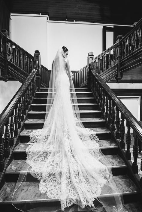 Bridal picture, staircase, train, veil, fitted gown Bridal Staircase Photo, Bridal Veil Pictures, Bride Staircase Photography, Dramatic Veil Photo, Long Train Wedding Dress Stairs, Wedding Dress Train Photos, Wedding Dress With Train And Veil, Wedding Veil Photos Picture Ideas, Bride On Staircase