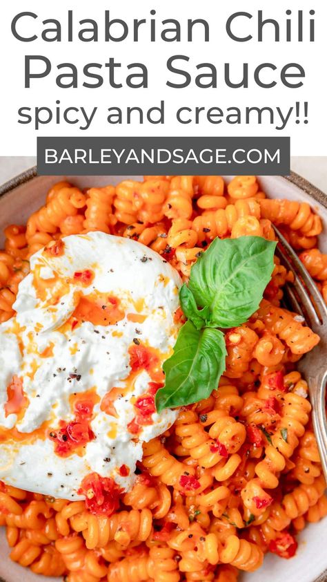 This Calabrian chili pasta has a creamy, spicy sauce made with Calabrian chilies and topped with creamy burrata cheese and fresh basil! It's the perfect easy weeknight meal that comes together in about 30 minutes! Calabrian Chili Pasta Sauce, Calabrian Pasta, Calabrian Chili Sauce, Pasta Chili, Calabrian Chili Vodka Sauce, Arabiatta Pasta Recipes, Recipes With Calabrian Chili Paste, Calabrian Pepper Recipes, Spicy Marinara Sauce