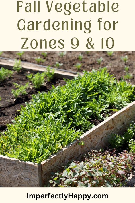 fall gardening
zone 9 gardening
zone 10 gardening What To Plant In September, Fall Vegetable Gardening, Homesteading Life, Fall Crops, Garden Planning Layout, Modern Homestead, Backyard Farm, Modern Homesteading, Homestead Ideas