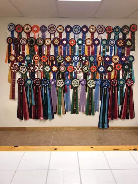 Equestrian Ribbon Wall, Horse Riding Ribbons Display, English Riding Aesthetic, Horse Show Ribbon Display, Horse Ribbon Display, Show Ribbon Display, Horse Room Decor, Horse Themed Bedrooms, Preppy Equestrian