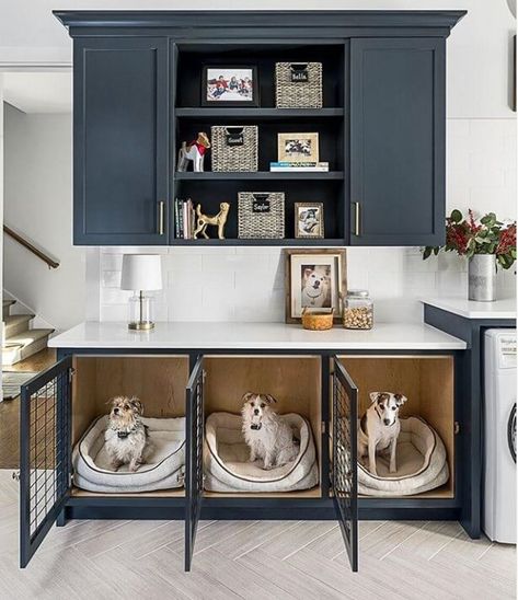 Blue Laundry Cabinets, Room Decor Essentials, House Development, Dog Room Decor, Dog Doors, Pet Gates, Dog Den, Diy Dog Crate, Room Storage Diy