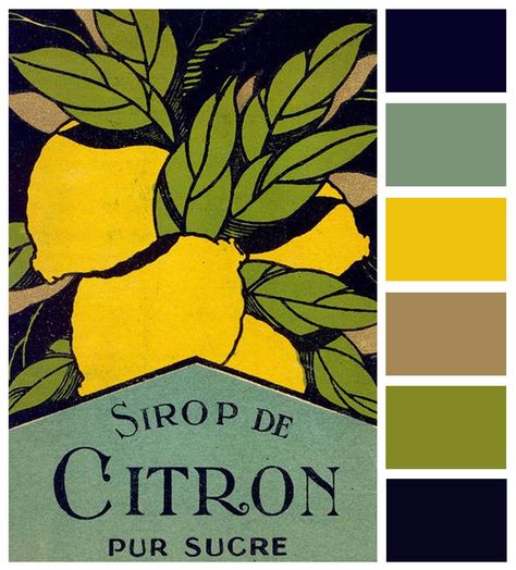 Lemon Pallete Color, Limoncello Color Palette, Vintage Poster Color Palette, Citron Color Palette, Campaign Color Palette, Dandelion Color Palette, Lemon Yellow Color Palette, Lemon Illustration Design, Lemon Color Palette