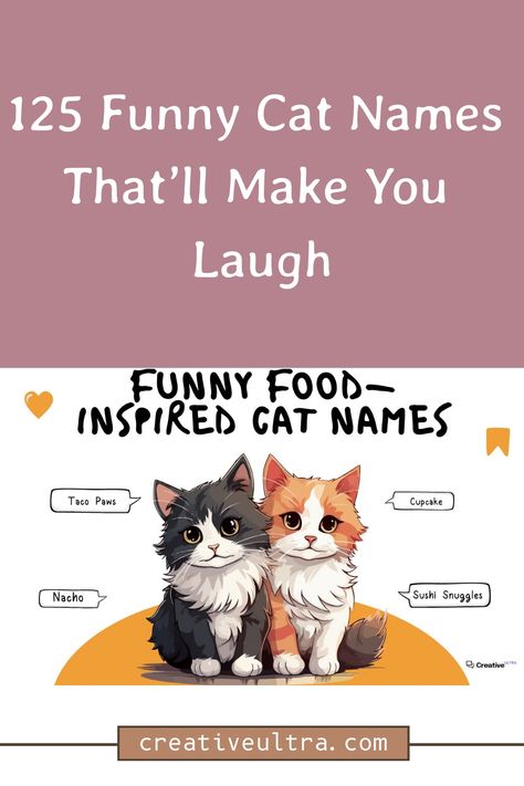 Find 125 funny cat names that will make you laugh. Give your playful cat a name that brings smiles and joy whenever you call them! Cat Names List, Paw Cupcakes, Funny Cat Names, Names List, Birman Cat, Cat Jokes, Cat Names, Photoshop Photography, A Name