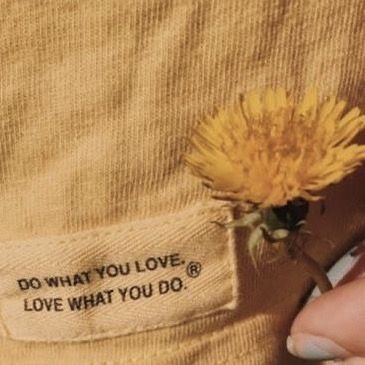 Dandelion Color, Apollo Aesthetic, Apollo Cabin, Dandelion Yellow, Beauty In Nature, Yellow Theme, Color Personality, Honey Colour, Yellow Aesthetic