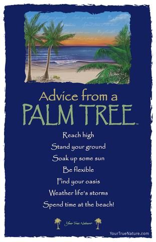 Palm Tree Quotes, Hawaii Quotes, Hawaiian Quotes, Animal Meanings, Tree Quotes, Advice Cards, Beach Quotes, Advice Quotes, True Nature