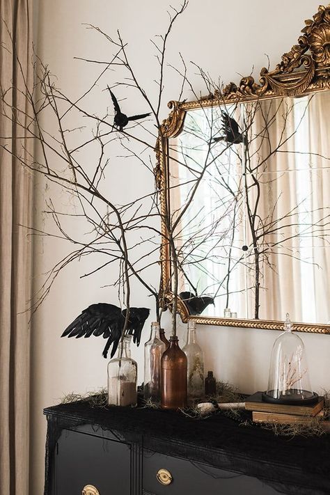 Halloween Reception, Cottage Halloween, Party Halloween Costumes, Witch Birthday, Modern Halloween Decor, Heights House, Chic Halloween Decor, Haunted Woods, Michaels Halloween