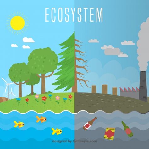 Ecosystem next to pollution concept Free Vector Forest Ecosystem Drawing, Ecosystems Drawing, Ecosystem Drawing, Ecosystem Art, Discovery Day, Biology Projects, Save Mother Earth, Forest Ecosystem, Forest And Wildlife