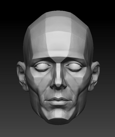 Planar Head - ZBrushCentral Male Face Structure, Male Facial Structure, Facial Structure Reference, Facial Structure Drawing, Male Head Reference, Planar Head, Basic Facial, Head Structure, Male Sculpture