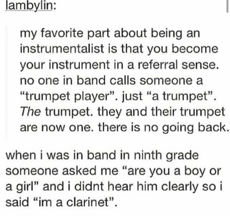 Band Tumblr, Musical Jokes, Marching Band Memes, Marching Band Humor, Band Jokes, Music Jokes, Learning Guitar, Music Nerd, Band Nerd