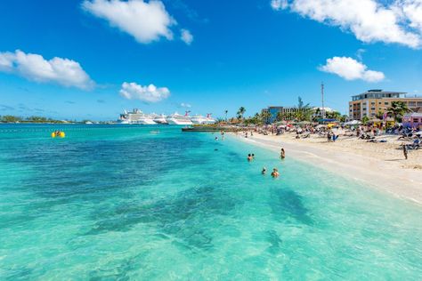 Visit Junkanoo Beach Nassau – a Nassau Beach worth listing as one of the top Nassau Bahamas Beaches and best beaches in Nassau Beach areas. Junkanoo Beach Nassau Bahamas is one of the top attractions and things to do in Nassau Bahamas Junkanoo. Nassau Bahamas Beaches, Exuma Pigs, Bahamas Beach, Swimming Pigs, Lakeside Resort, Bahamas Travel, Bahamas Vacation, Wedding Destinations, Hiking Spots