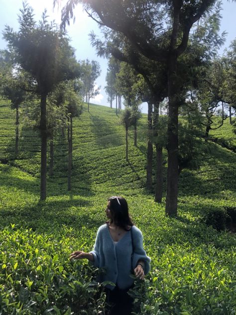 Munnar Outfit Ideas Women, Hill Station Dress Ideas, Ooty Photography Poses, Munnar Kerala Photography Poses, Wayanad Trip Outfits, Tea Garden Photography Pose, Hill Station Picture Ideas, Darjeeling Aesthetic Outfit, Poses In Hills