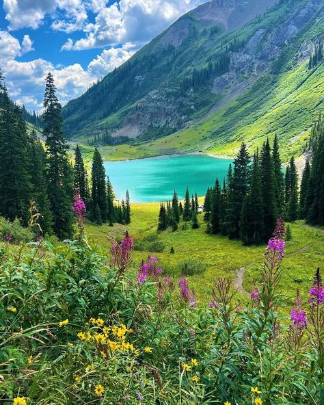 Emerald Lake In Crested Butte, Colorado, USA. Magical Places Aesthetic, Best Countries To Visit, Summer Vacation Destinations, World Most Beautiful Place, Adventure Travel Explore, Emerald Lake, Crested Butte, Pretty Landscapes, Places In The World