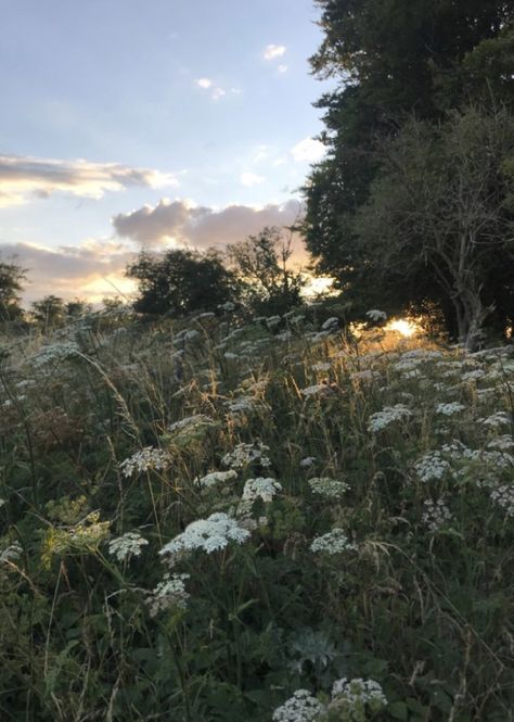 Bucolic Aesthetic, Pretty Landscapes, Spring Aesthetic, Nature Aesthetic, Pretty Places, Aesthetic Photo, Cottage Core, Mother Earth, Beautiful World