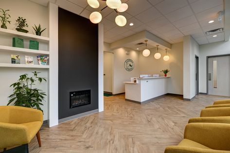 Veterinary Waiting Room Ideas, Large Animal Vet Clinic Design, Veterinary Clinic Exam Rooms, Veterinary Dental Suite, Veterinary Lobby, Clinic Exam Room, Veterinary Decor, Veterinary Exam Room, Veterinary Clinic Design