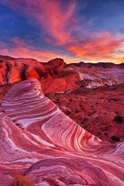 Pink Desert Bay Photography, Slot Canyons, Valley Of Fire State Park, Valley Of Fire, Halong Bay, Sonoran Desert, Golden Light, Rock Formations, Tangerang