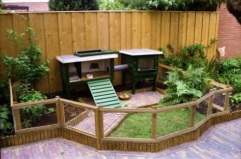 Diy Rabbit Hutch, Rabbit Pen, Rabbit Enclosure, Guinea Pig Hutch, Hutch Ideas, Bunny Hutch, Rabbit Stuff, Rabbit Ideas, Bunny Ideas