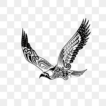 maori tribal style,eagle,animal,tattoo,decoration,maori tribal style,black and white,ocean,sea turtle Sea Eagle Tattoo, Maori Tattoo Patterns, Eagle Tattoo Design, Tortoise Tattoo, Black And White Ocean, Tattoo Png, Free Tattoo Designs, Tiger Tattoo Design, Sea Eagle