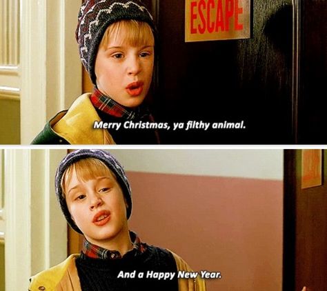 Home Alone:  Merry Christmas ya filthy animal.  And a happy new year. Christmas Movie Quotes Funny, Merry Chrysler, Funny Christmas Movies, Christmas Movie Quotes, Home Alone Movie, Christmas Films, Macaulay Culkin, Christmas Memes, Christmas Jokes