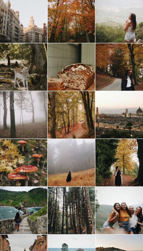 Autumn Aesthetic Instagram Feed, Nature Feed Instagram, Autumn Feed Instagram, Natural Instagram Feed, Fall Instagram Feed, Instagram Theme Ideas Color Schemes, Autumn Instagram Feed, Instagram Feed Organizer, Fall Photography Nature