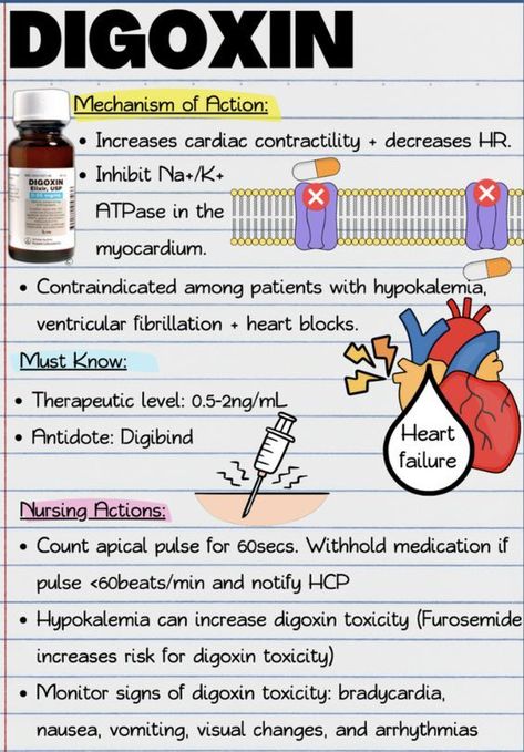 Digoxin #nursingschool #nursingstudent #study  - Image Credits: Jessi L Digoxin Nursing, Cardiovascular Pharmacology, Digoxin Toxicity, Pharmacy School Study, Pharmacology Nursing Study, Nursing School Studying Cheat Sheets, Heart Fail, Nursing School Inspiration, Nursing School Essential