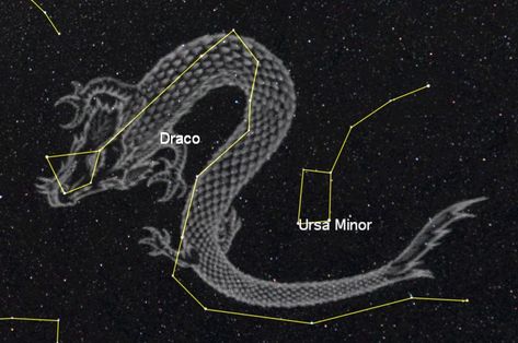 Draco (Latin for dragon) is circumpolar (never setting) for many in the northern hemisphere. The Greek constellation of Hydra is an adaptation of a Babylonian constellation: the MUL.APIN includes a “serpent” constellation (MUL.DINGIR.MUŠ) that loosely corresponds to Hydra. It is one of two Babylonian “serpent” constellations (the other being the origin of the Greek Serpens), a mythological hybrid of serpent, lion and bird. The Hydra of Lerna's lair was the lake of Lerna in the Argolid, though ar Draco Constellation, Dragon Chess, Zodiac Leo Art, Ursa Minor, Dragon Star, Arte Alien, Indigo Children, The Last Unicorn, Constellation Tattoos