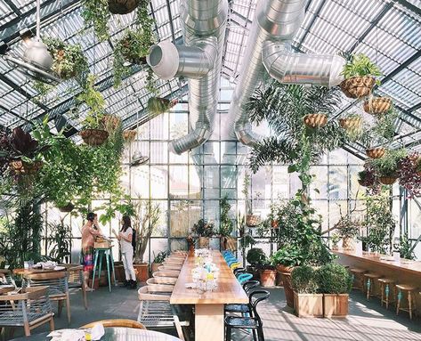 Greenhouse Restaurant, Greenhouse Cafe, Rooftop Gardens, Los Angeles Restaurants, Los Angeles Hotels, Rooftop Garden, Deco Floral, Roof Garden, Greenhouses