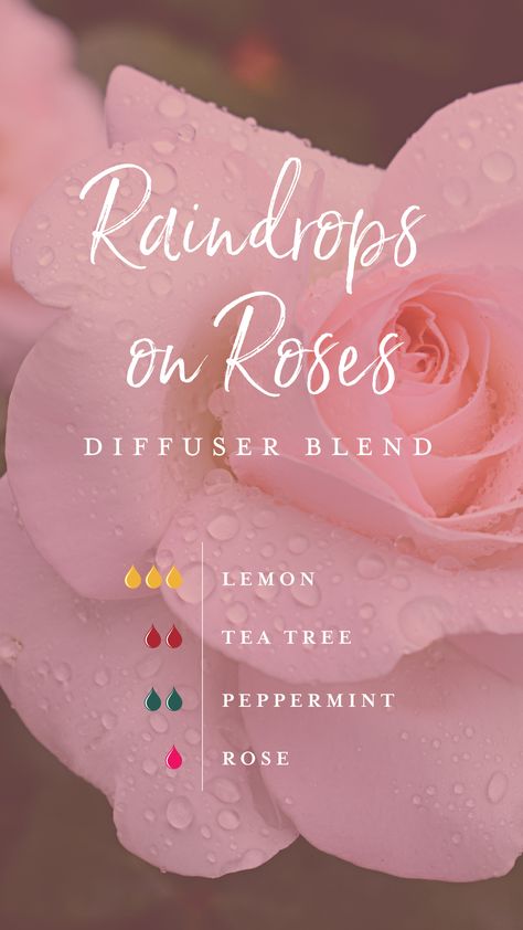 We’ve created a relaxing and indulgent night in with this Raindrops on Roses diffuser blend! A recipe of Tea Tree, Lemon, Rose, and Peppermint captures the feeling of being curled up on the sofa on a rainy night with a cup of tea and the fuzziest socks! #yleo #essentialoils #summerblend #diffuserblends Truck Garden, Raindrops On Roses, Essential Oil Combinations, Magia Das Ervas, Essential Oil Diffuser Blends Recipes, Young Living Essential Oils Recipes, Alpine Plants, Oil Diffuser Recipes, Essential Oil Diffuser Recipes