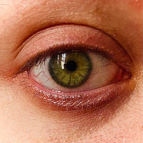 Close up picture of green eye. The under eye is lined with glittery eyeshadow Close Up Body Poses, Close Up Facial Features, Zoomed In Pictures, Close Up Eye, Eye References, Close Up Face, Brain Exercises, Face Parts, Draw Reference