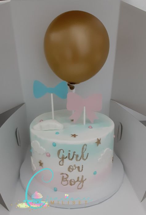 Cloud Gender Reveal Cake, Simple Gender Reveal Cake Pink And Blue, Gender Torte, Gateau Gender Reveal, Small Gender Reveal Cake, Gender Cake Ideas, Gender Reveal Cake Design, Neutral Gender Reveal Cake, Gender Reveal Torte