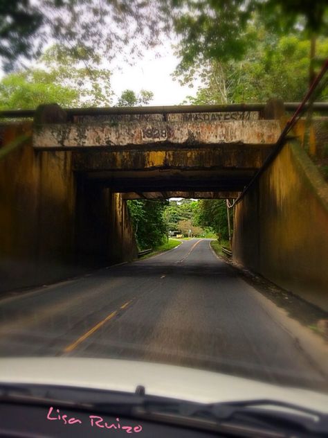 The Cosmopolitan, Panama Canal, Cosmopolitan, Nature Beauty, Costa Rica, Panama, Travel, Beauty, Nature