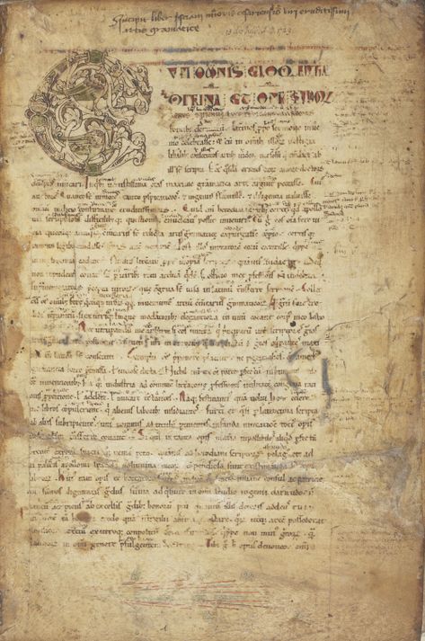 School curricula also explain why ancient grammatical literature was transmitted in surprising quantities across medieval Europe and the Mediterranean, including educational material for the study not only of Latin but also of ancient Greek. Popular texts, such as Priscian’s 5th-century Institutes of Latin Grammar, survive in large numbers, sometimes annotated with glosses or notes added in classrooms, as in this example from 11th-century France. Ancient Writing Aesthetic, Greek Manuscript, Ancient Greek Literature, Ancient Greek Aesthetic, Ancient Literature, Roman Literature, Ancient Aesthetic, Greek Literature, Latin Grammar