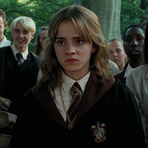 Hermione Hair, Hermione Granger Aesthetic, Hair Movie, Film Harry Potter, Emma Watson Harry Potter, Elijah Mikaelson, Harry Potter Girl, Harry Potter Hermione Granger, Harry Potter Icons