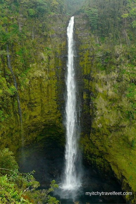 Akaka Falls, Hawaii Waterfalls, Hawaii Big Island, Hawaiian Vacation, The Big Island, Waterfall Photography, Big Island Hawaii, Hawaii Island, Hawaii Vacation