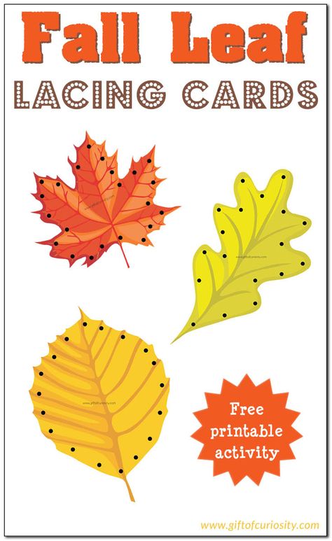 Free Fall Leaf Lacing Cards for kids to enjoy the colors of fall while developing their fine motor skills. || Gift of Curiosity Autumn Preschool Theme, Fall Preschool Activities, Lacing Cards, Free Printable Activities, Preschool Fine Motor, Free Printable Gifts, Colors Of Fall, Autumn Activities For Kids, Fall Preschool