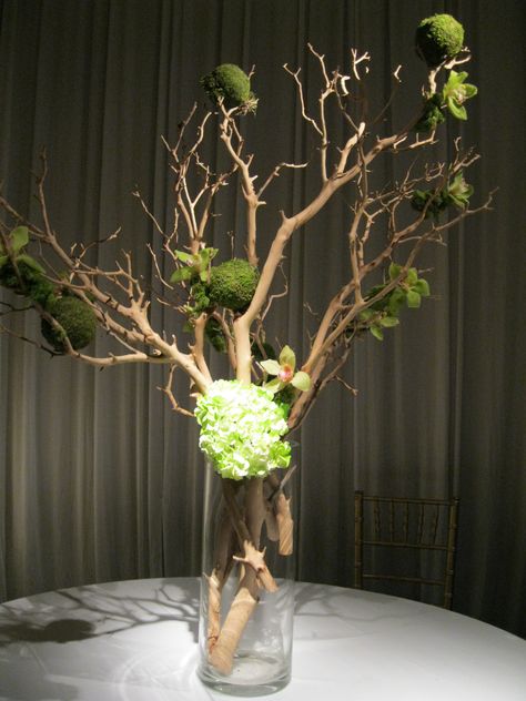 Green branch arrangement by Virginia Wolff Tree Branch Arrangements, Curly Willow Centerpieces, Tall Arrangements, Branch Centerpieces, Vase With Branches, Modern Floral Arrangements, Christmas Florals, Vase Ideas, Tropical Floral Arrangements