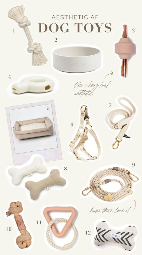 Cute Puppy Stuff Products, Minimalist Dog Supplies, Aesthetic Things For Your Dog, Pet Ideas Dogs, Aesthetic Dog Corner, New Dog Aesthetic, Cavapoo Accessories, Neutral Pet Aesthetic, Neutral Dog Toys