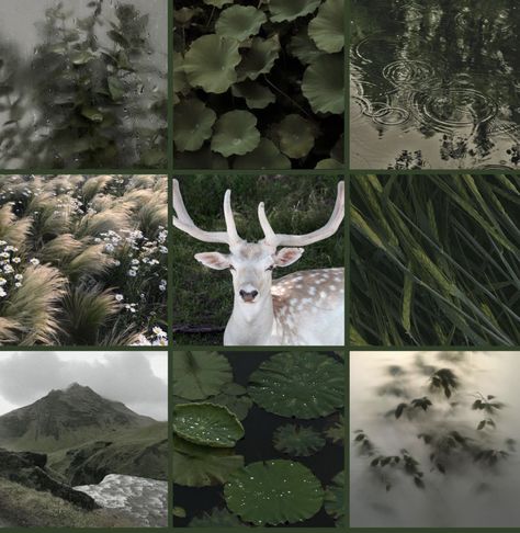 Results for quiz what’s your aesthetic but it’s my favorite rare aesthetics How To Make A Moodboard, Mood Boards Nature, How To Do A Mood Board, My Mood Board, Oc Board Ideas, Oc Aesthetic Ideas, My Aesthetic Board, How To Make A Mood Board, Oc Aesthetic Board