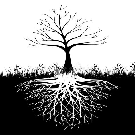 Tree roots silhouette royalty free illustration Tree With Roots, Silhouette Tree, Vector Trees, Silhouette Clip Art, Tree Images, Black Tree, Tree Roots, Tree Silhouette, Nature Plants