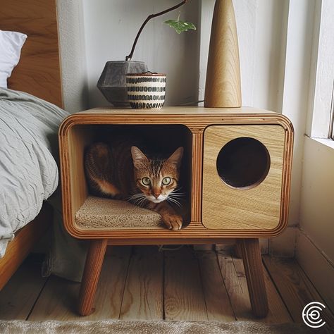 The Cat Scratching Post Bedside Table combines functionality and style. Featuring a built-in scratching post inside the table, it offers a discreet and durable solution for your cat’s scratching needs. The tabletop is perfect for holding a lamp, books, or other essentials, seamlessly fitting into any bedroom decor while keeping your cat entertained and your furniture protected. Conceptual AI Art Follow @ecosapiens for more! Underbed Cat Space, Bedroom Cat Ideas, Scandinavian Cat Furniture, Cat Set Up, Pet Friendly Furniture, Cat Furniture Design, Cat Bedroom, Canopy Architecture, Modern Cat Furniture