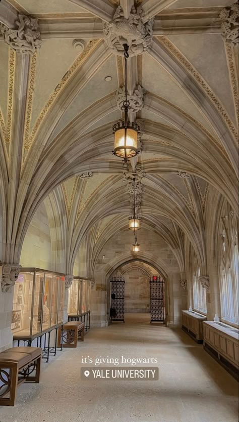 Ivy League Library Aesthetic, Yale University Interior, Yale Library Aesthetic, Students Life Aesthetic, Yale University Library, Romantizing University Aesthetic, University Astethic, Ivy College Aesthetic, Yale Campus Aesthetic