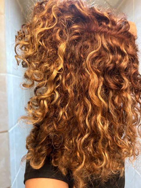 Copper Blonde Hair Curly, Highlights For Gingers, Copper And Blonde Balayage Curly Hair, Red Hair Blonde Highlights Curly, Curly Hair Strawberry Blonde Highlights, Orange Blonde Curly Hair, Copper Curly Hair With Blonde Highlights, Curly Red Hair Highlights, Auburn Curly Hair With Highlights