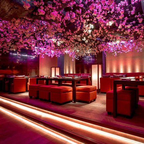 Time Out London on Instagram: “Every year, Shochu Lounge at the Charlotte Street branch of @rokarestaurant brings spring indoors with its dreamy sakura installation. It's…” Pink Party Drink, Cherry Blossom Ceiling, Tree Interior, Ohio House, Flower Ceiling, Interior Design Dining, Cherry Blooms, Pink Pink Pink, Charlotte Street